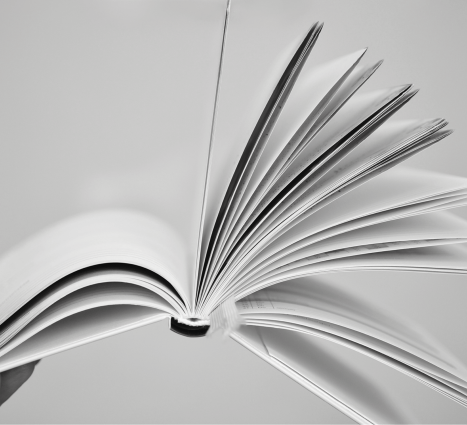 archeas coaching services