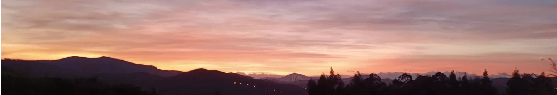 archeas coaching services