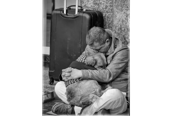 archeas coaching services